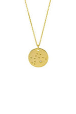 Zodiac Constellation Gold Coin Pendant Necklace - Aquarius
