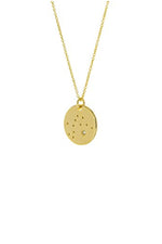 Zodiac Constellation Gold Coin Pendant Necklace - Aquarius